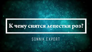 К чему снятся лепестки роз - Онлайн Сонник Эксперт