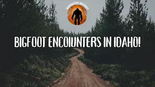 SO EP:264 Bigfoot Encounters In Idaho!