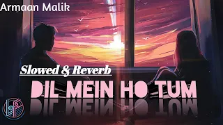 Dil Mein Ho Tum [Slowed+Reverb] Armaan Malik | Lofi | Cheat India | The Lofi Station