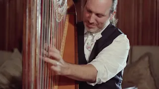 Can you feel the love tonight / Elton John / Harp Cover : François Pernel