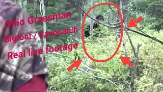 Salt Fork Ohio Grassman - Best Bigfoot or Sasquacth footage #saltforkohiograssman