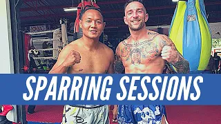 SPARRING WITH THE GOAT! | Saenchai vs Liam Harrison Play Sparring Compilation | Muay Thai