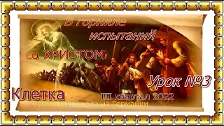 Урок №3. Клетка. III квартал 2022