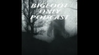 Bigfoot Podcast. We're talking about Bigfoot Reports in Jefferson Texas.
