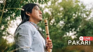Pakari - Peace and harmony with Native music ( 14K Subscribers! 🥳)
