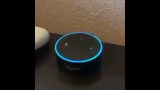 Alexa won't stop farting