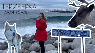 ТЕРИБЕРКА БЕЗ ТУРА / КАТАНИЕ НА БУРАНЕ/ ОЛЕНИ ХАСКИ ЛИСЫ МОРСКИЕ ЕЖИ/ МУРМАНСК ЗАПОЛЯРЬЕ РОССИИ