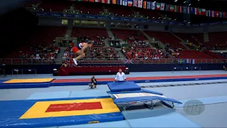 BERRIDGE Daniel (GBR) - 2017 Trampoline Worlds, Sofia (BUL) - Qualification Double Mini Routine 2