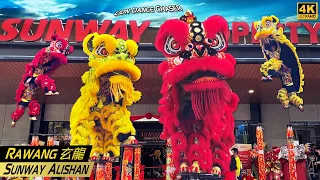 Acrobatic Lion Dance by Rawang Xuan Long 万挠玄龙 @ Sunway Property Gallery 金红双狮 高桩採青 开张贺庆 鼓乐响连天