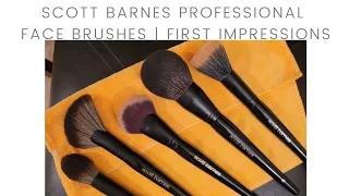 Scott Barnes Face Brushes | First Impressions | Are They Worth the Price?