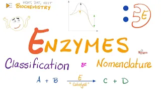 Enzymes Nomenclature and Classifications | Names and Types | Biochemistry 🧪