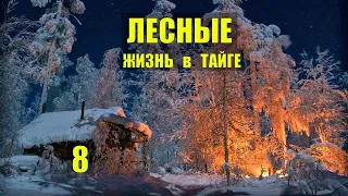 ЗАГОТОВКА ЛЕСА ЛЕСНЫЕ ЛЮДИ ЛЕСОПОВАЛ ТАЁЖНЫЙ РОМАН ЖИЗНЬ в ТАЙГЕ ИСТОРИИ из ЖИЗНИ в ЛЕСУ СЕРИАЛ 8