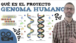 Qué es el proyecto genoma humano