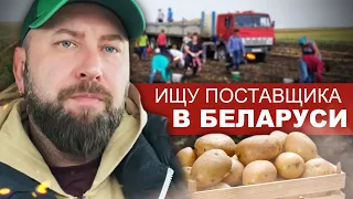 Ищу Поставщиков Картофеля в Беларуси. Найти Поставщика ДЛЯ СТАРТА / Бизнес Без Вложений. Бизнес идеи