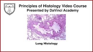 Lung Histology [Respiratory Histology 2 of 2]