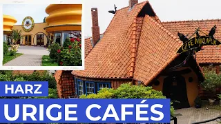 3 rustic cafes in the Harz Mountains | Germany