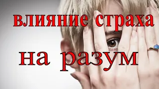 Сергей Савельев Влияние страха на интеллект