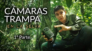 Cámaras Trampa en la selva | 1° Parte ¿Qué son y cómo funcionan? | Trail Cameras in the forest