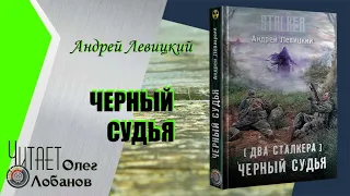 Андрей Левицкий. Черный Судья.  Серия S.T.A.L.K.E.R.  Цикл Два сталкера.