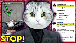 Stop doing this with your cat on TikTok..