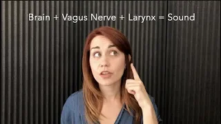How to Boost Your Voice: The Vagus Nerve