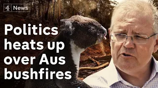 Australian politics heats up over bushfires