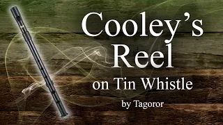 Cooley's reel | Tin Whistle