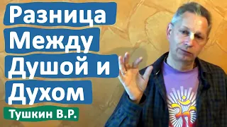 РАЗНИЦА МЕЖДУ ДУШОЙ И ДУХОМ • ВАСИЛИЙ ТУШКИН