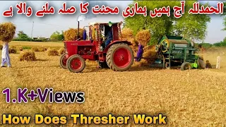 Belarus 510 Tractor Thresher Video | How Does Thresher Work