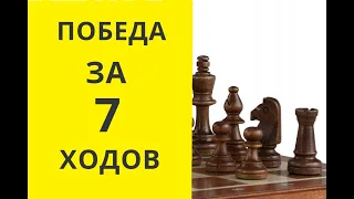 Шахматы. Победа за 7 ХОДОВ ! онлайн, играть, бесплатно