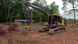 Opening  Up The Backyard Around The Cabin