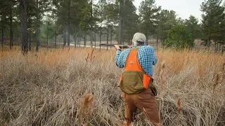 Alabama Quail | The Flush: Season 9, Episode 12