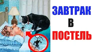 Лютые приколы. ЗАВТРАК В ПОСТЕЛЬ. угарные мемы