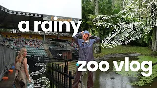 two americans take on the australia zoo! 🌿🐨