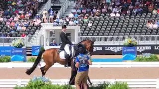 WEG 2018 Sonke Rothenberger