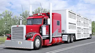 Cattle to Yakima with Jon Ruda's Peterbilt 389