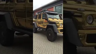 @joelbeukers golden 6x6💛