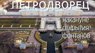 Петродворец накануне открытия фонтанов. 22 апреля 2021 г.