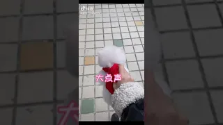 Tik Tok 😍 Chó phốc sóc mini  😍 Funny and Cute Pomeranian #279