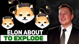 WARNING! from Elon Musk to DOGELON MARS Coin Holders. DOGELON Price Prediction 2022