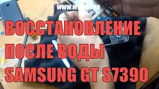Samsung Galaxy GT S7390 после воды (Восстанавливаем)