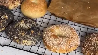 THE BEST Sourdough Bagel Recipe!