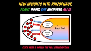 New Insights into Rhizophagy: Plant Roots EAT Microbes ALIVE + the WHY & HOW with Dr. James F. White