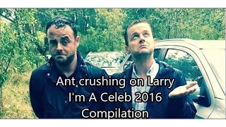 Ant and Dec - Ant crushing on Larry // Compilation