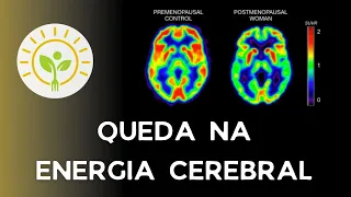 A ESCOLHA DO SUPLEMENTO PARA MAIS ENERGIA CEREBRAL | APRENDA NUTRIÇÃO