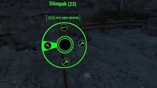 the fallout 4 VR experience