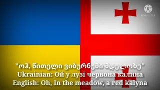 ოჰ, წითელი ვიბურნუმი მდელოზე - Oh, In the meadow, a red kalyna (Georgian Vers & English Translation)