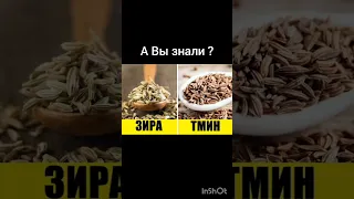 Разница Зиры и Тмина ; )