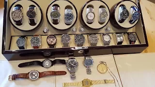 Current State Of My Watch Collection - Rolex - Omega - Patek Philippe - Seiko - Tissot - Bulova