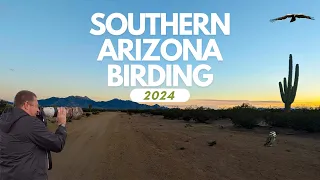 Capturing The Beauty Of Southern Arizona: A Weeklong Birding Photography Adventure